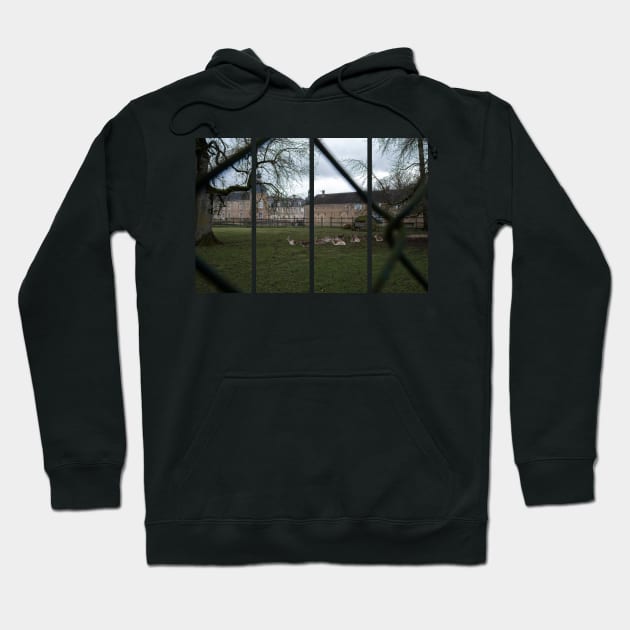 The castle of Pierre-de-Bresse is a 17th-century castle in the Bourgogne-Franche-Comte. Cloudy winter day Hoodie by fabbroni-art